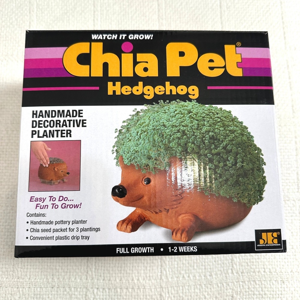 Chia Pet Hedgehog Handmade Decorative Planter Pottery with Seeds DIY Kit NIB NEW